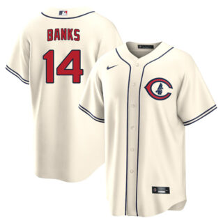 Men's Cool Base Chicago Cubs Ernie Banks 2022 Field of Dreams Cream Stitched Jersey With Name