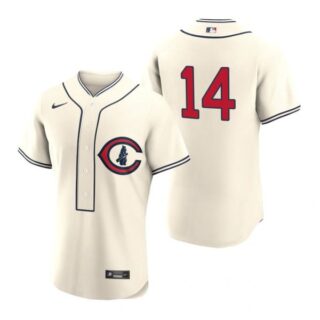 Men's Flex Base Chicago Cubs Ernie Banks 2022 Field of Dreams Cream Stitched Jersey