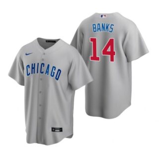 Men's Ernie Banks Chicago Cubs Cool Base Jersey Gray