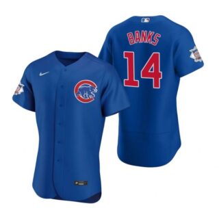 Men's Ernie Banks Chicago Cubs Flex Base Jersey Royal