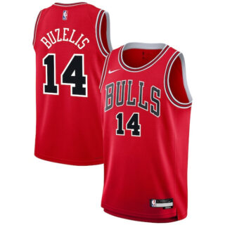 Youth Matas Buzelis Chicago Bulls #14 Swingman Jersey - Icon Edition - Red